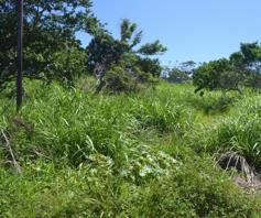 Vacant Land / Plot for sale in Sezela