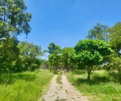 Farm for sale in Mnandi