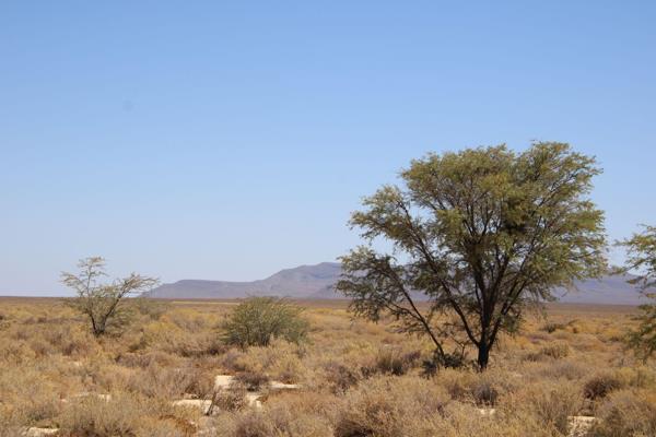 BRIEF: 
This idyllic, exceptional, 3,952-hectare, pristine lifestyle enterprise is situated within the greater Ceres Tankwa Karoo ...