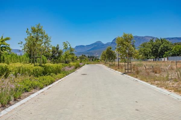 This well positioned plot has just come onto the market and is situated in Optenhorst Estate in Northern Paarl where everything is ...