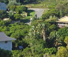 Vacant Land / Plot for sale in Brenton On Sea