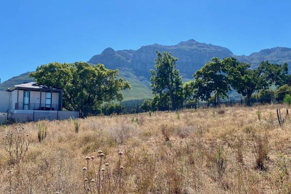 One of the last two remaining stands! With guaranteed views across to Table Mountain on the northern side and a stone&#39;s throw to ...