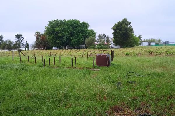 **Tranquil Winelands Haven on Sprawling Tierfontein Farm**

Nestled in the picturesque Tierfontein AH, this exceptional farm offers a ...