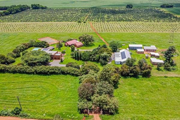 14ha under prickly pears with strong annual turnover. Additional fertile land available for expansion.

Two homes : 1 x 4-bedroom and 1 ...