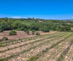 Farm for sale in Hazyview Rural