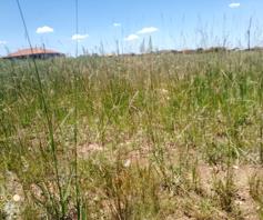 Vacant Land / Plot for sale in Mohlakeng