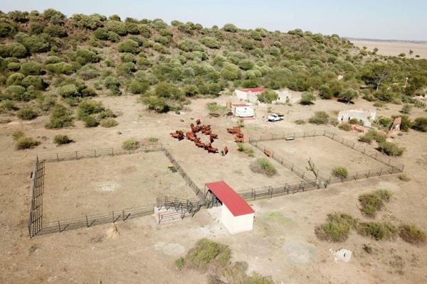 This stunning farm, located near Bultfontein, offers a rare opportunity for cattle farmers looking for a fully equipped and ...