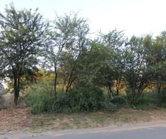 Vacant Land / Plot for sale in Parys Golf & Country Estate