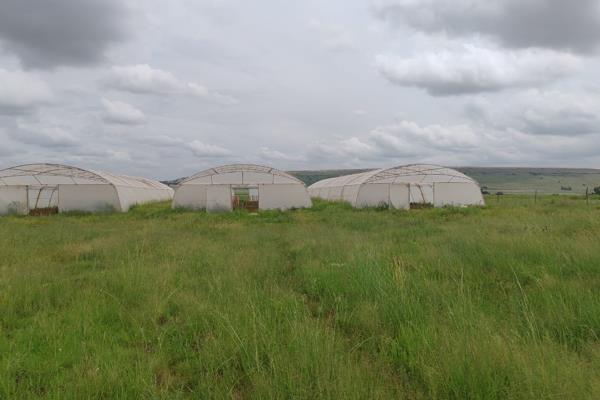 SOLE MANDATE 
X 3 Massive Green Houses 
Borehole working on solar and pumping water to Jojo tanks 2 X 5 200 Liters and 1 X 1 000 ...