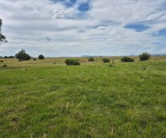 Farm for sale in Bloemfontein Rural