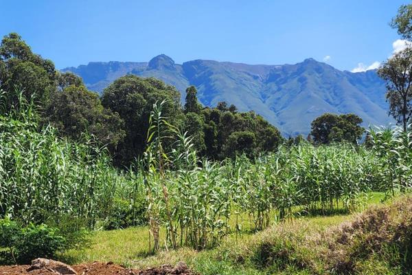 This stunning 1,404sqm vacant plot in the heart of Swellendam offers breathtaking ...