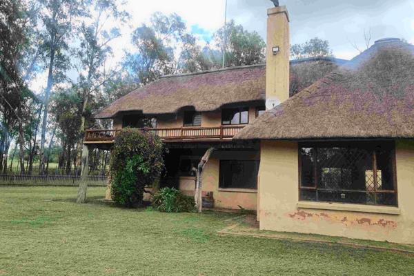 Lovely spacious double storey thatch house  - 3 bedrooms, garages, staff quarters next ...