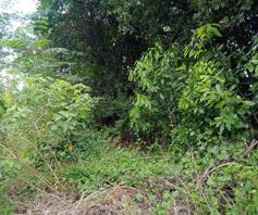 Vacant Land / Plot for sale in Mobeni Heights