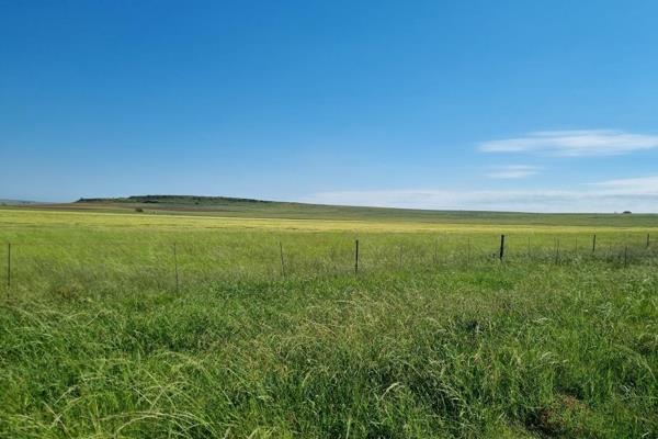 You will find this breath-taking 492-hectare farm located between Bethlehem and Senekal, offers an exceptional opportunity for farming ...