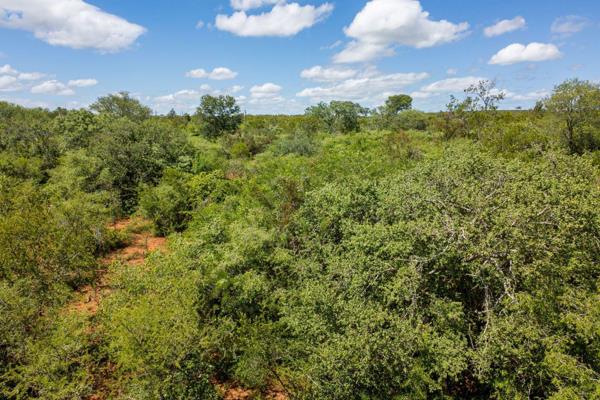 This exceptional vacant stand is situated within the prestigious Mjejane Game Reserve, offering unobstructed views and unparalleled ...