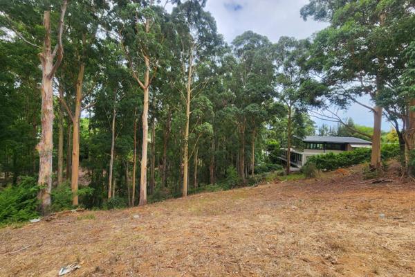 Motivated seller talk to me about an offer!

The Registered plot size is 1145m&#178;, with an option to rent an extra 649m&#178; from ...