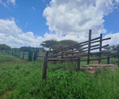 Farm for sale in Louis Trichardt Rural