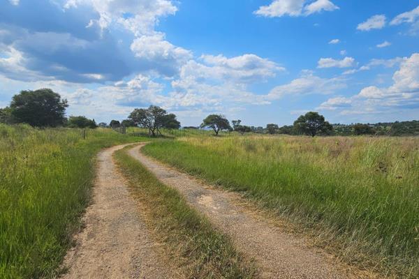 This exceptional 3.0495-hectare smallholding is located approximately 5 km from Lydenburg town in the Potloodspruit area. Whether ...