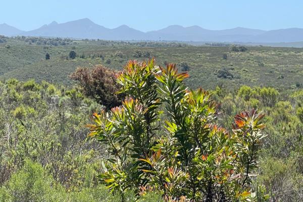 Welcome to Gondwana, Big 5, Game reserve This 300m2 plot set on 10,000 m2 of exclusive ...