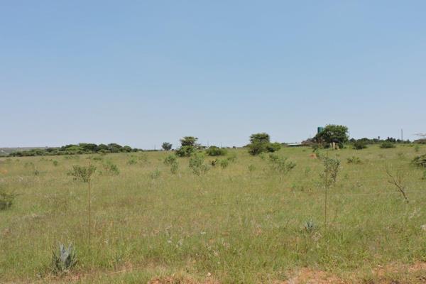 8.56 Hectare Vacant Land. LEEUWHUIL AH 

Game fenced.

Old Zink roof house - NO Building plans availible- AS IS.

Eskom ...