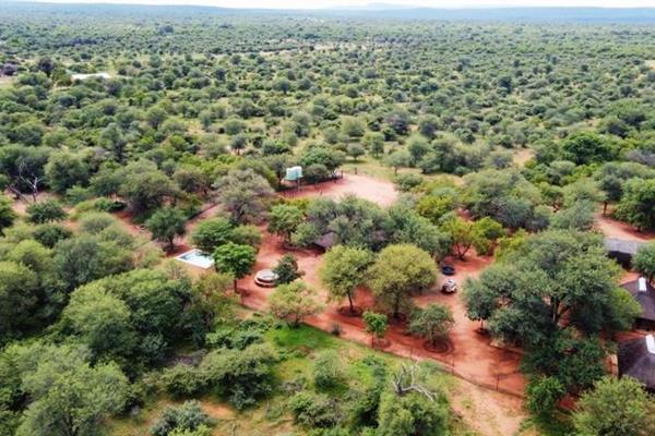 550-Hectare Game Farm for Sale – Marken, Limpopo

Escape to the untamed beauty of Limpopo with this breathtaking 550-hectare game ...