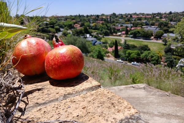 Vacant Stand - Constantia Kloof. For Sale: Prime Development Opportunity in Constantia ...