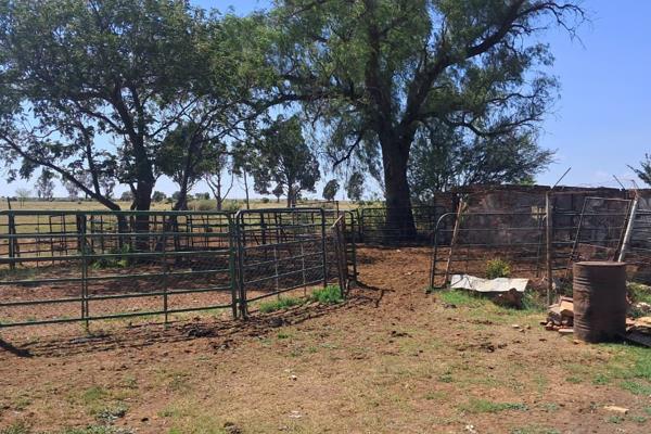 Large vacant land (42827m2) for sale

Located near to Arbeidsgenot Primary School, Chance children&#39;s home, KPM Poultry ...