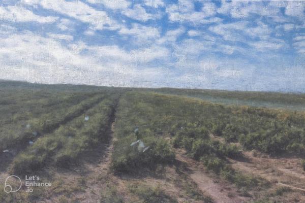 This large irrigation farm, located in the Schaapkraal Horticulture area.

Zoned for agriculture, it is a Bona fide farming property ...