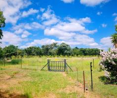 Farm for sale in Vaalwater