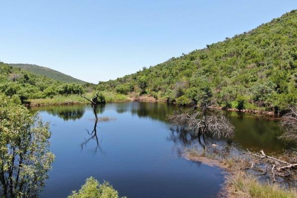 SEE UPDATED SUMMER PHOTOS
A Rare Gem in the Heart of the Golden Mile: 906 Hectares of Pristine Bushveld Paradise
Nestled within the ...