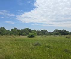 Vacant Land / Plot for sale in Muldersdrift