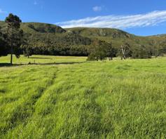 Farm for sale in Port Elizabeth Rural