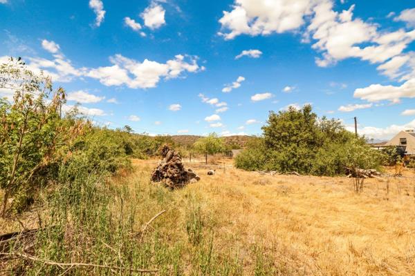 Prime Vacant Land for Sale in Van Wyksdorp – A Tranquil Karoo Escape

Discover the ...