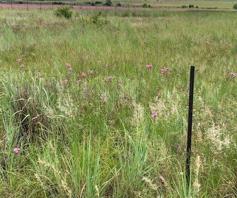 Vacant Land / Plot for sale in Mooiplaats AH