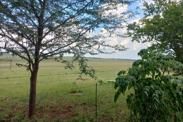 Location: Bronkhorstspruit
Price: R 3 400 000 - or R 3 800 000(with implements)

This stunning 41,6 -hectare cattle farm offers ...