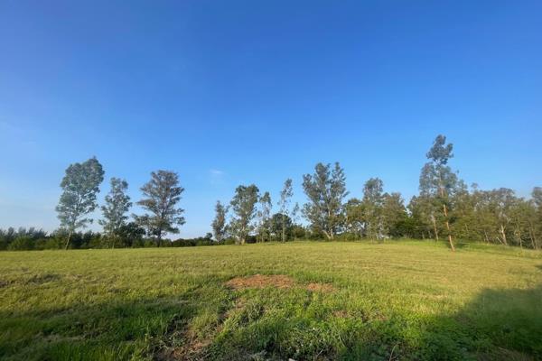 Welcome to an exceptional opportunity in the prestigious Blair Atholl Golf andamp; Equestrian Estate. This expansive vacant stand ...