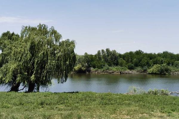 9ha Kleinhoewe langs die Vaalrivier met besproeiingsreg te koop. Hierdie grond is ideaal vir lusern, pekaneutbome of groente. Mens kan ...