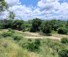 Vacant Land / Plot for sale in Leadwood Big Game Estate