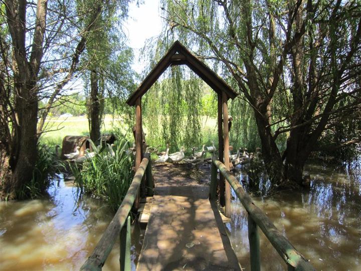 Farm for sale in Bapsfontein - 123 Delmas Str - P24-115541064