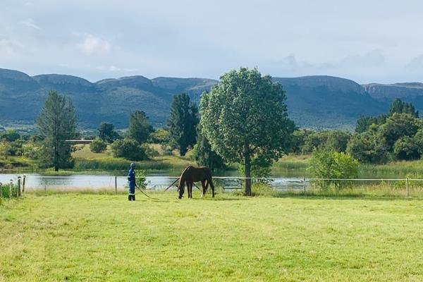 Embrace the perfect mixed farmstead lifestyle! This property offers a 1-hectare natural dam, 7 paddocks, 18 wooden stables, and ...