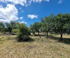 Vacant Land / Plot for sale in Hoedspruit Wildlife Estate