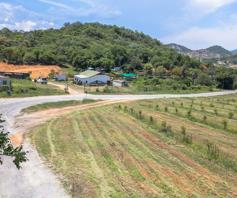 Farm for sale in Karino