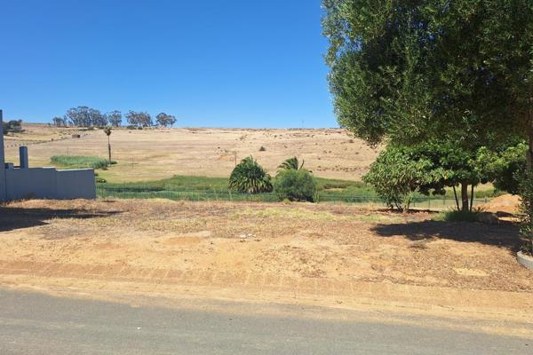 Prime Vacant Land in Glen Lily Estate – Rare Opportunity

Seize this rare opportunity ...