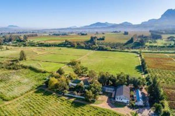 Hocheim Wine Farm 

On offer is a working wine farm of 37ha situated just outside of ...