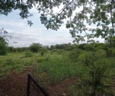 Farm for sale in Zuurplaat AH