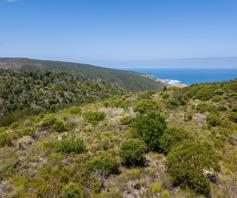 Vacant Land / Plot for sale in Pezula Private Estate