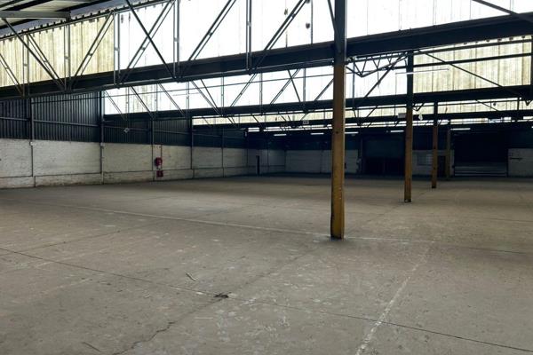 Exceptionally neat and spacious industrial facility measuring an impressive 3,920sqm ...