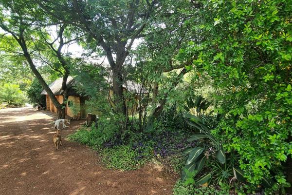 Situated within the larger Dinokeng area, and part of the Nyati conservancy, this beautiful 21 h/a farm is located approximately 43 km ...