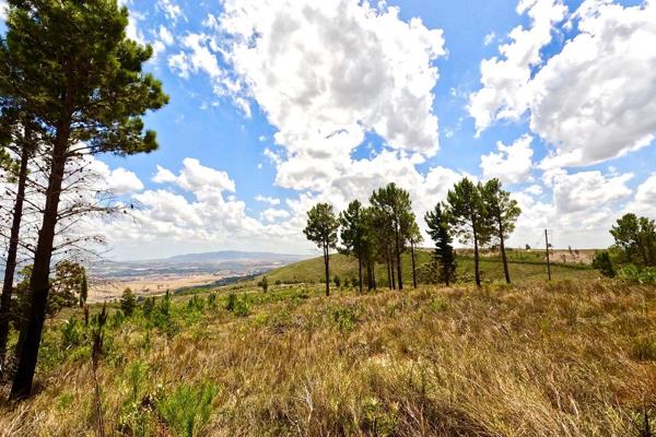 Situated amongst proteas and fynbos, high up on the Hawequa Mountains, this lovely ...