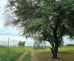 Farm for sale in Brits Rural